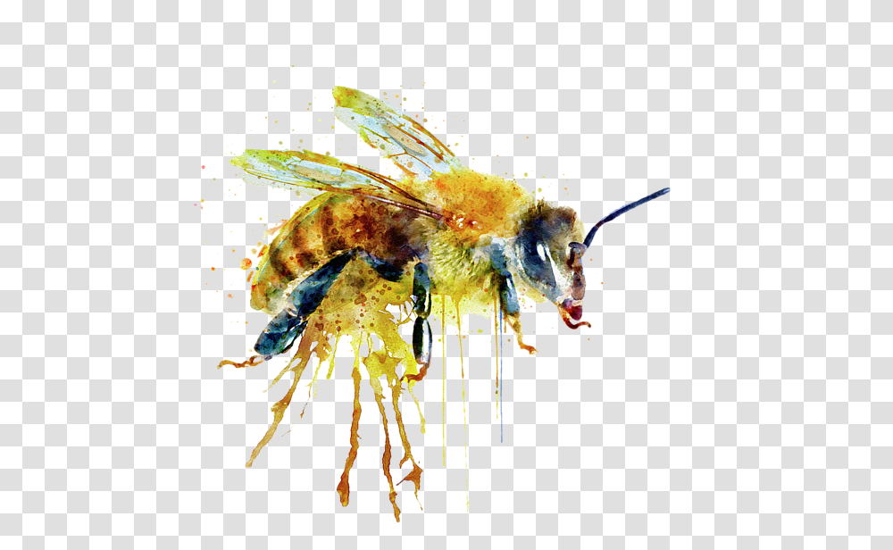 Bees Watercolor Watercolor Bee Bee Watercolor, Apidae, Insect, Invertebrate, Animal Transparent Png