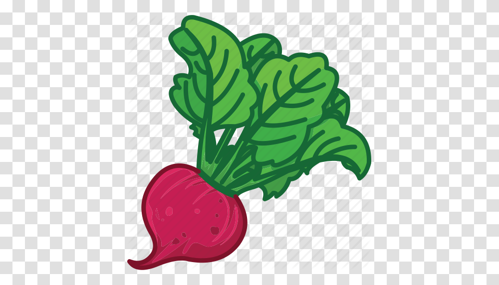 Beet Beet Juice Beet Root Beet Salad Vegetables Icon Icon, Plant, Food, Produce, Radish Transparent Png