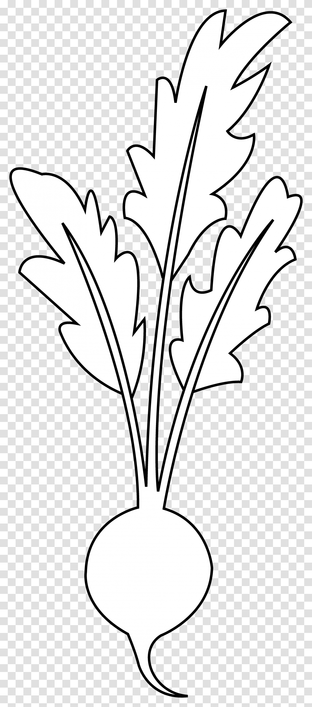 Beet Beetroot Clipart Black And White, Plant, Leaf, Vase, Jar Transparent Png