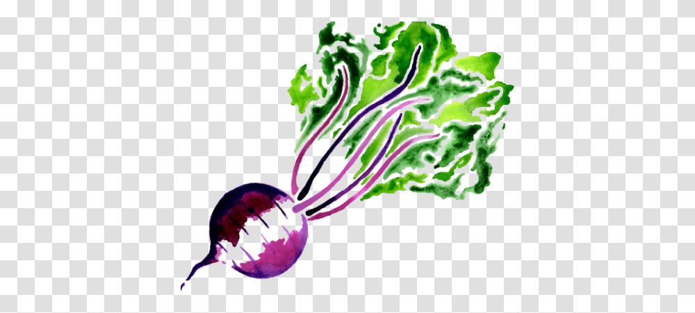 Beet Beetroot, Plant, Sea Life, Animal, Invertebrate Transparent Png