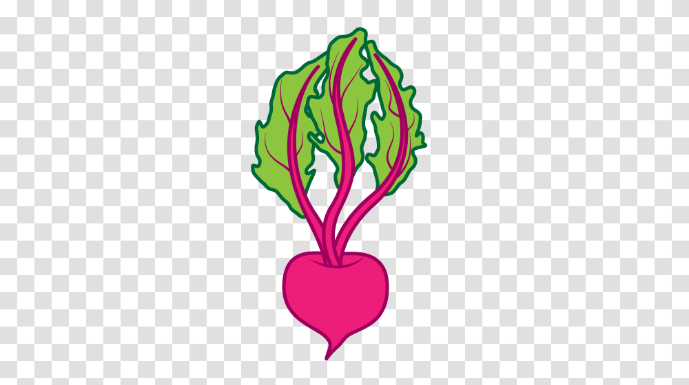 Beet Clipart Nice Clip Art, Plant, Vegetable, Food, Produce Transparent Png