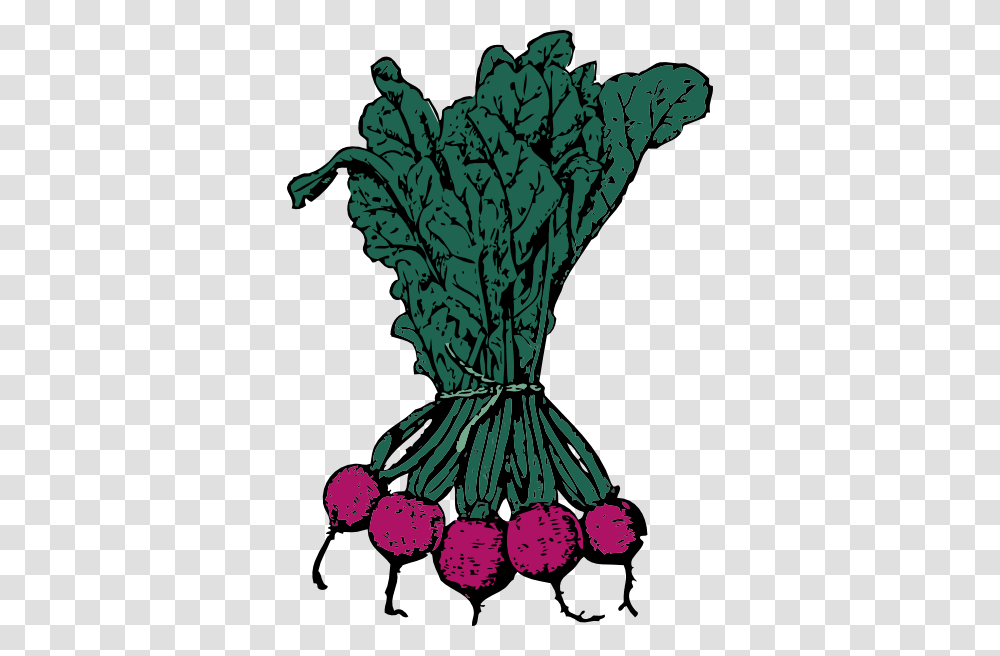 Beet Cliparts, Plant, Food, Fruit, Vegetable Transparent Png