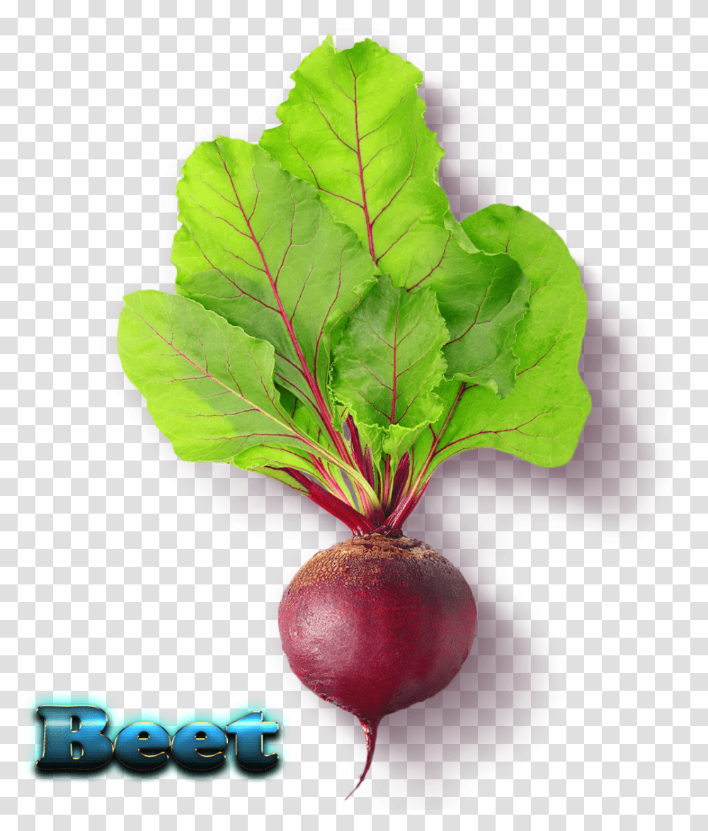 Beet Free Download Beetroot, Plant, Turnip, Produce, Vegetable Transparent Png