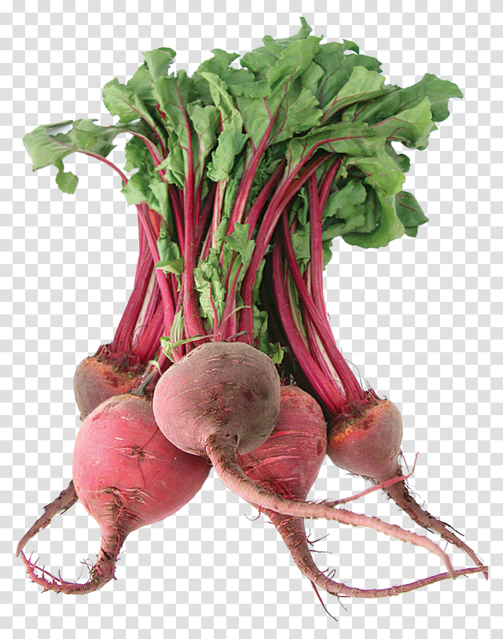 Beet Fresh Beetroot, Plant, Turnip, Produce, Vegetable Transparent Png