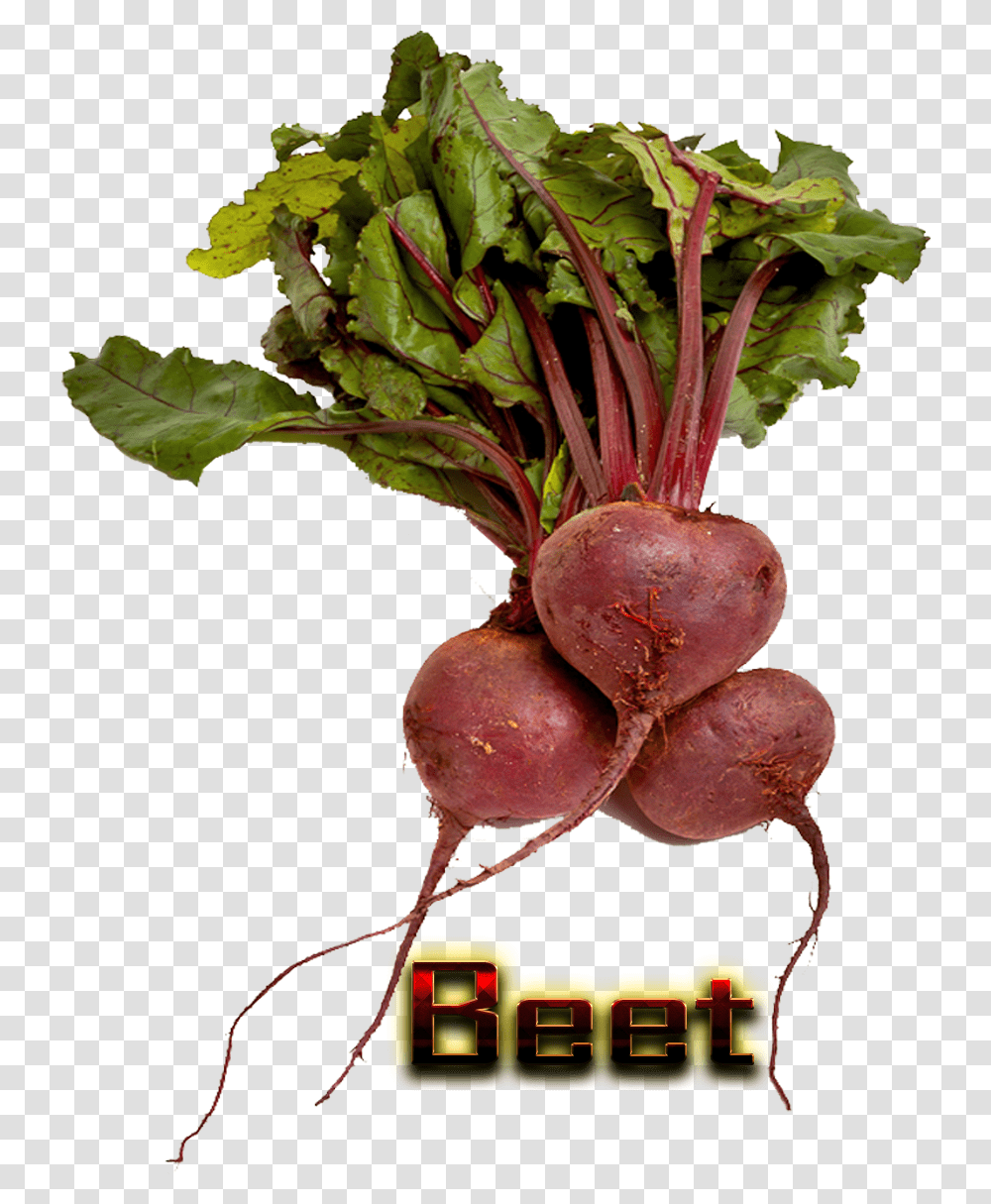 Beet Hd Beetroot, Plant, Turnip, Produce, Vegetable Transparent Png