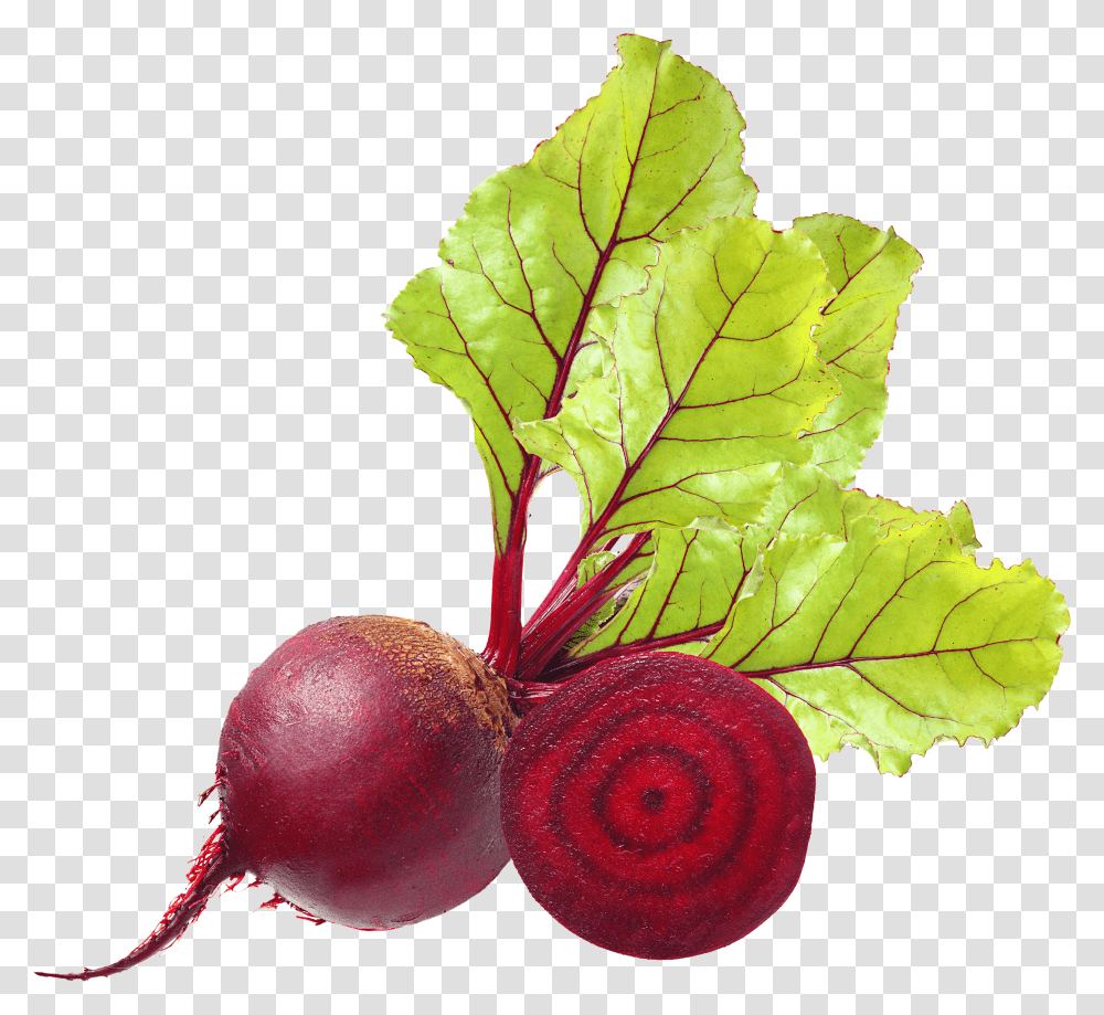 Beet Images Free Download Transparent Png