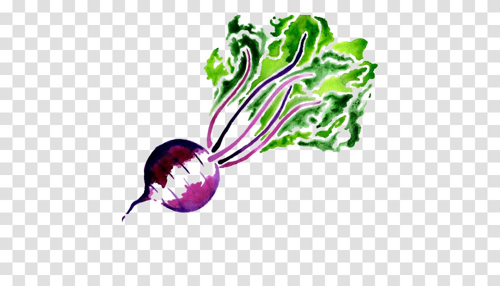 Beet, Plant, Vegetable, Food, Purple Transparent Png