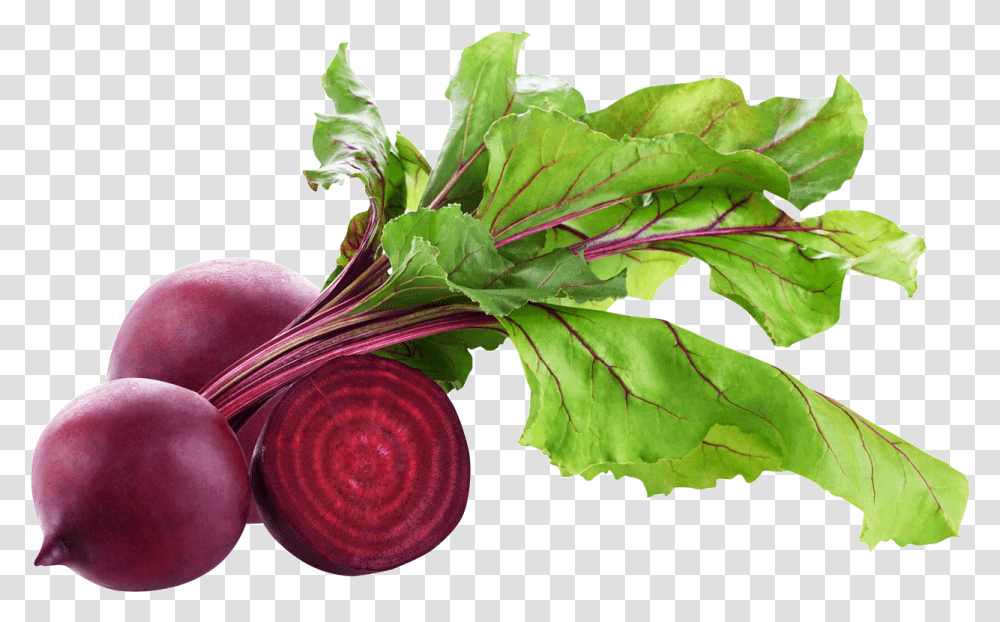 Beet Root, Plant, Produce, Food, Vegetable Transparent Png