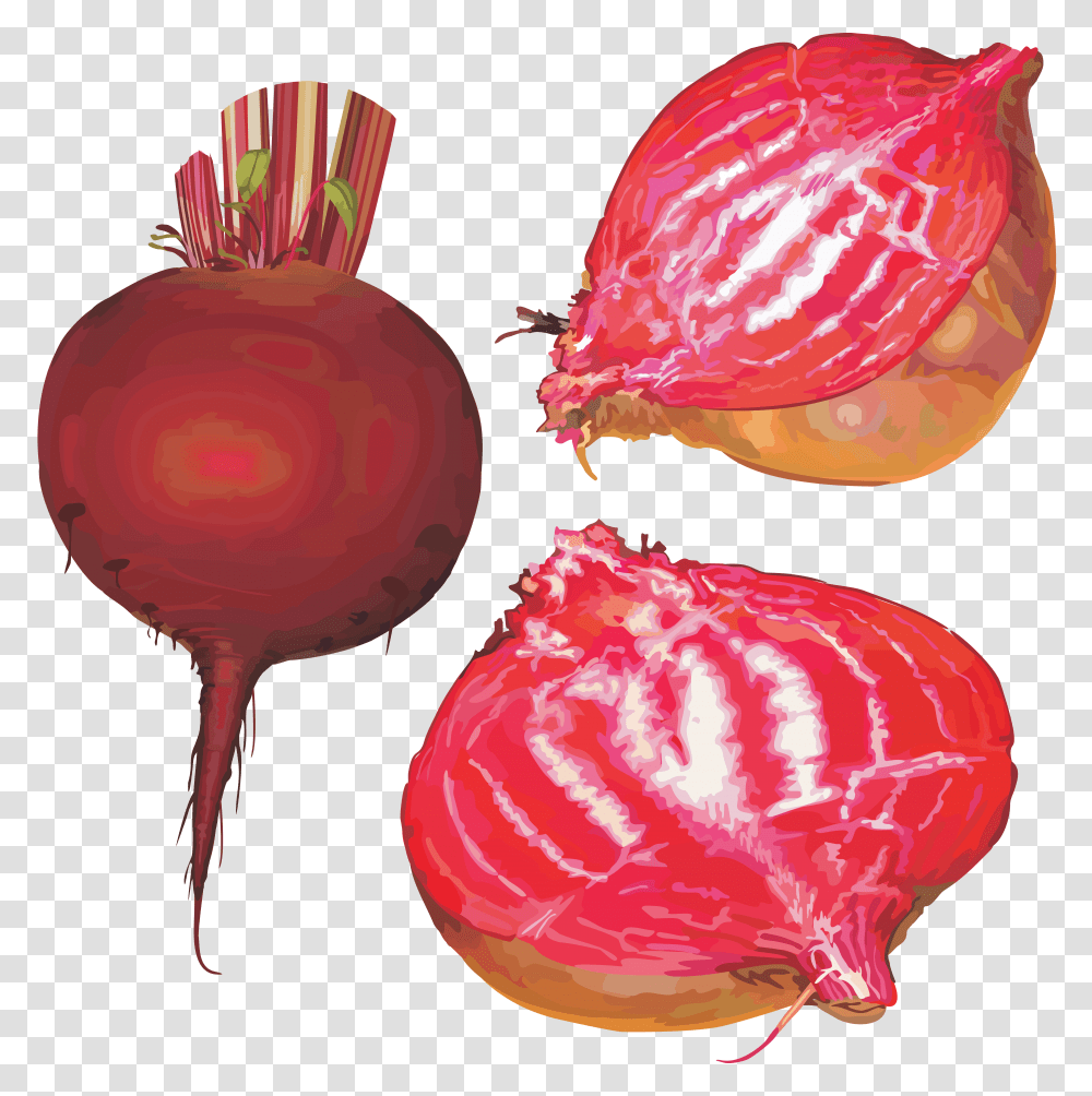 Beet, Vegetable, Plant, Food, Produce Transparent Png