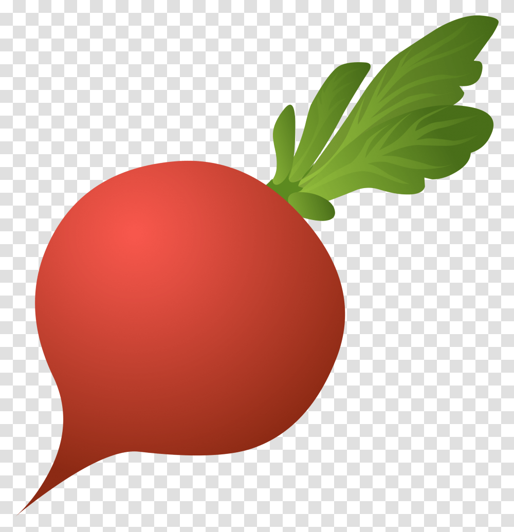 Beet, Vegetable, Plant, Food, Radish Transparent Png