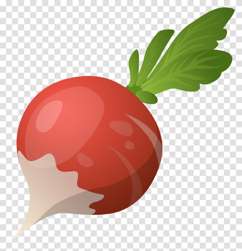 Beet, Vegetable, Plant, Food, Radish Transparent Png