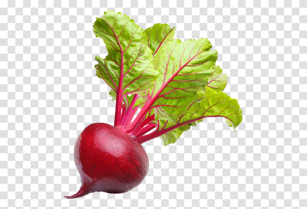 Beet Vegetable, Plant, Food, Turnip, Produce Transparent Png