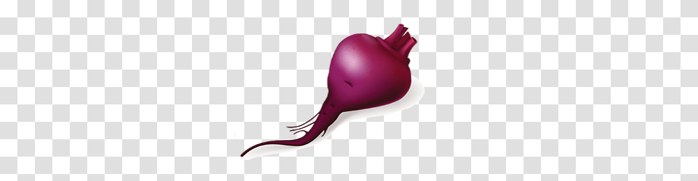 Beet, Vegetable, Plant, Food, Watering Can Transparent Png