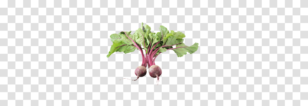 Beet, Vegetable, Plant, Produce, Food Transparent Png