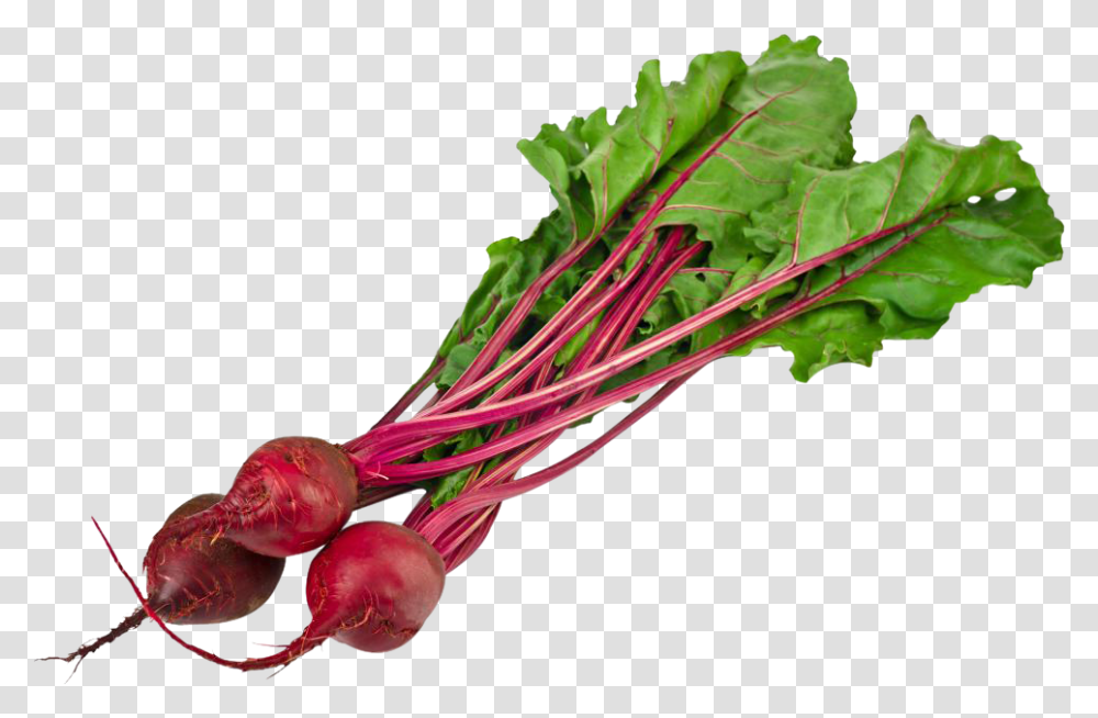 Beet, Vegetable, Plant, Produce, Food Transparent Png