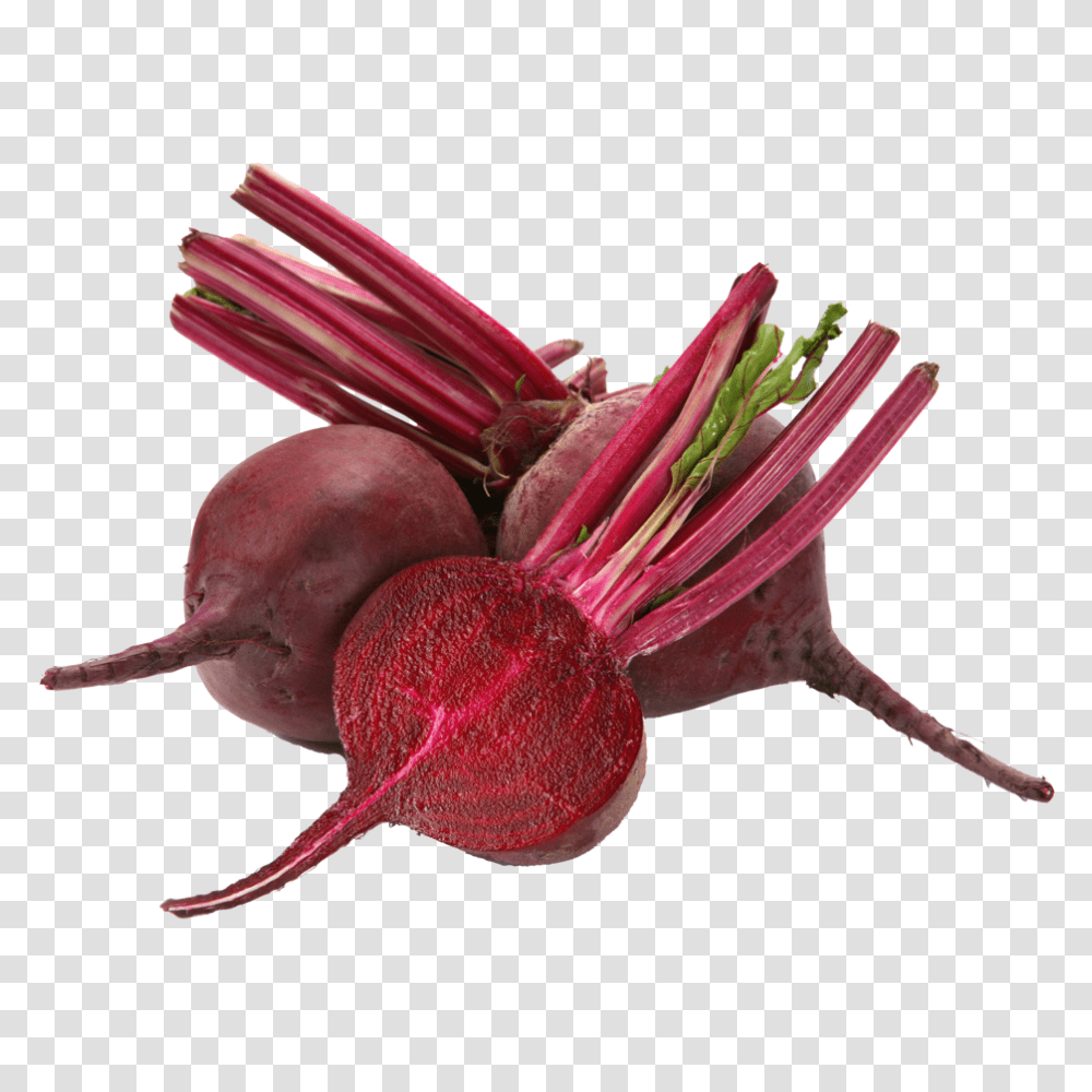 Beet, Vegetable, Plant, Produce, Food Transparent Png