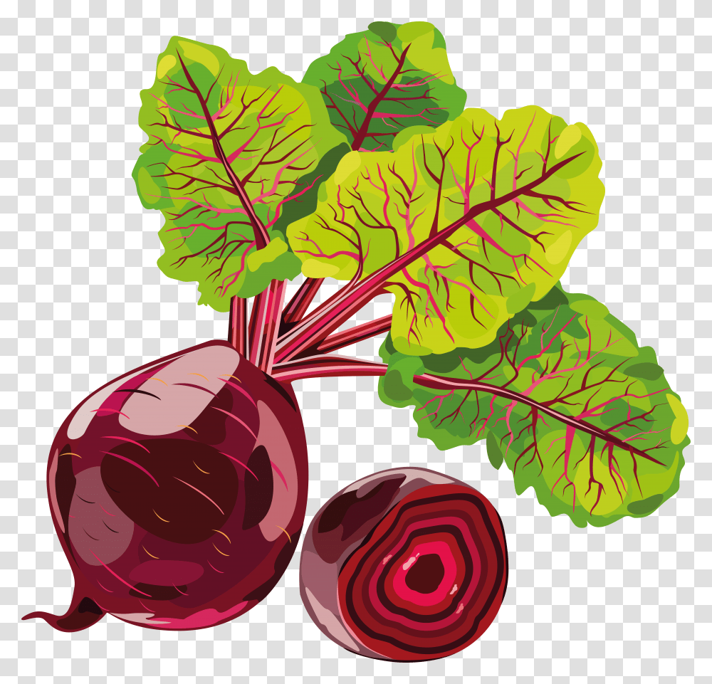 Beet, Vegetable, Plant, Produce, Food Transparent Png