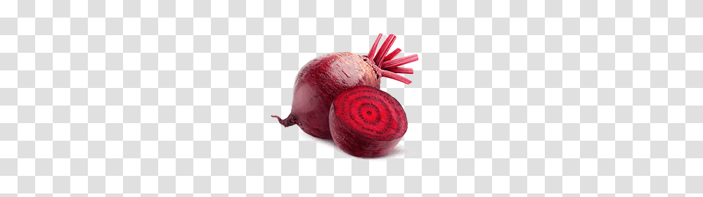 Beet, Vegetable, Plant, Radish, Food Transparent Png