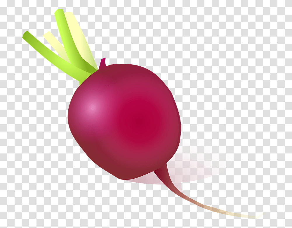 Beet, Vegetable, Plant, Radish, Food Transparent Png