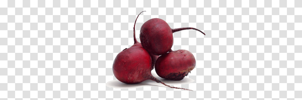 Beet, Vegetable, Plant, Radish, Food Transparent Png