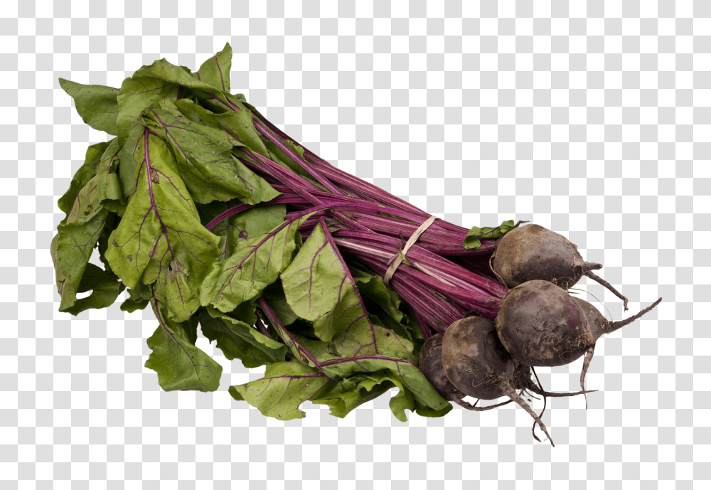 Beet, Vegetable, Plant, Turnip, Produce Transparent Png