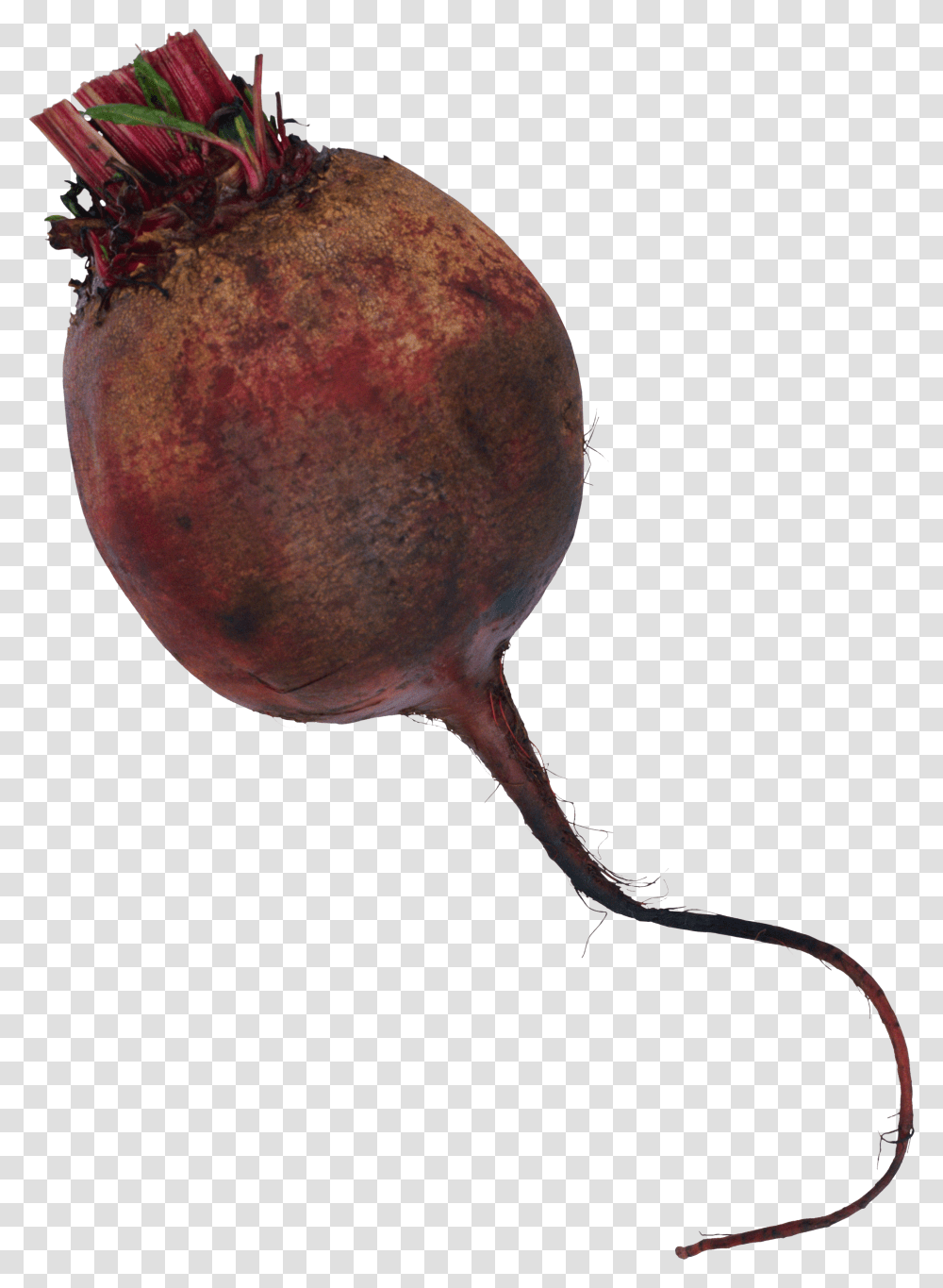 Beet, Vegetable Transparent Png