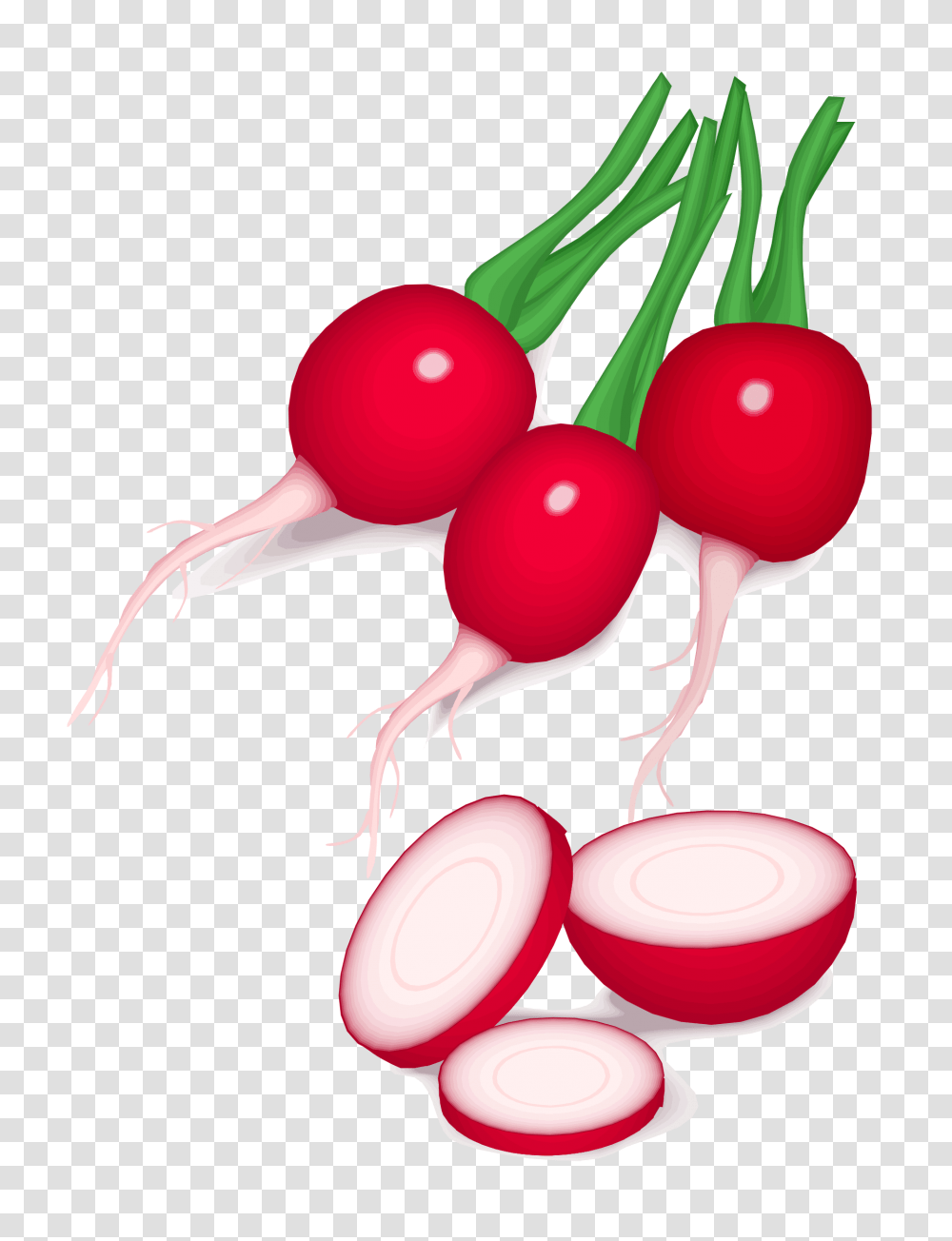 Beet Vegetable Vector Clipart Image, Plant, Food, Radish, Produce Transparent Png