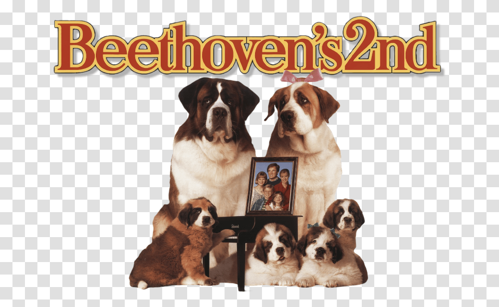 Beethoven 2 Movie Poster, Dog, Pet, Canine, Animal Transparent Png