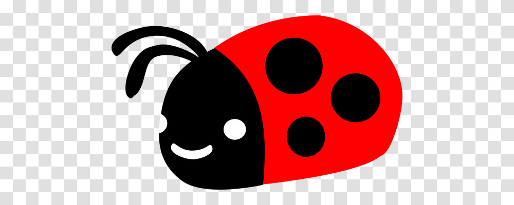 Beetle Animals, Dice, Game, Tire Transparent Png