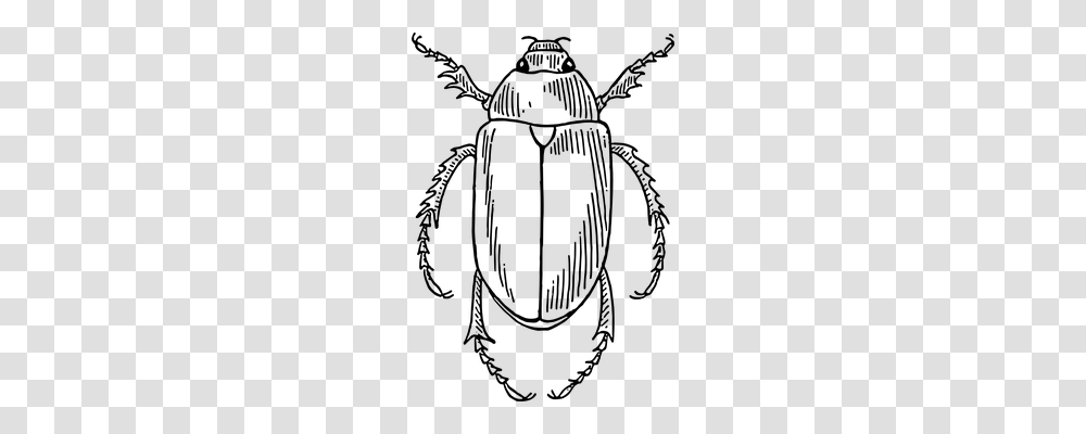 Beetle Technology, Gray, World Of Warcraft Transparent Png