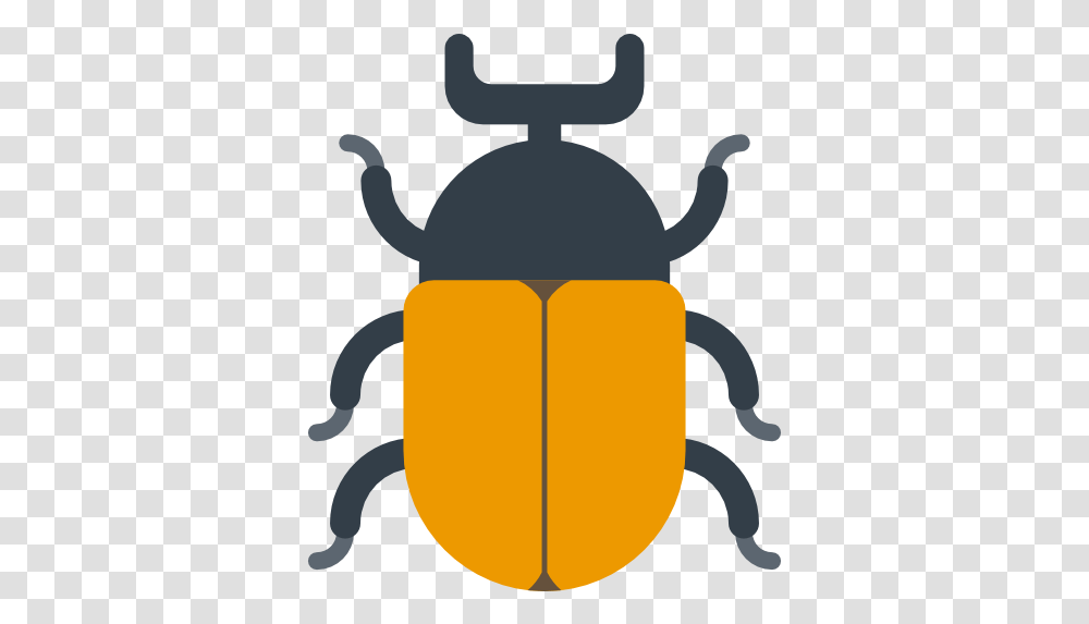 Beetle Beetle Icon, Invertebrate, Animal, Firefly, Insect Transparent Png