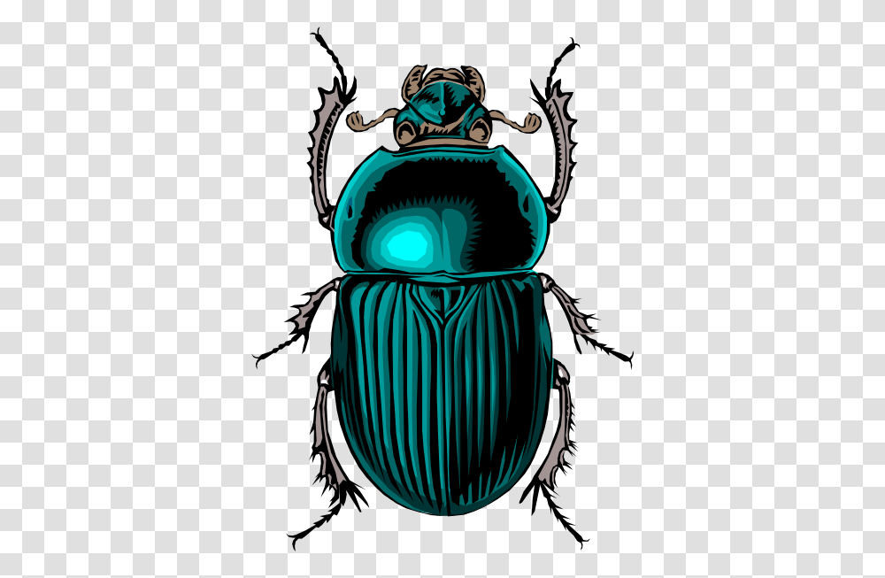 Beetle Bug Clip Art Free Vector, Dung Beetle, Insect, Invertebrate, Animal Transparent Png