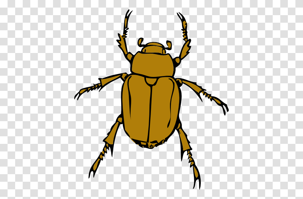 Beetle Bug Clip Art, Insect, Invertebrate, Animal, Dung Beetle Transparent Png