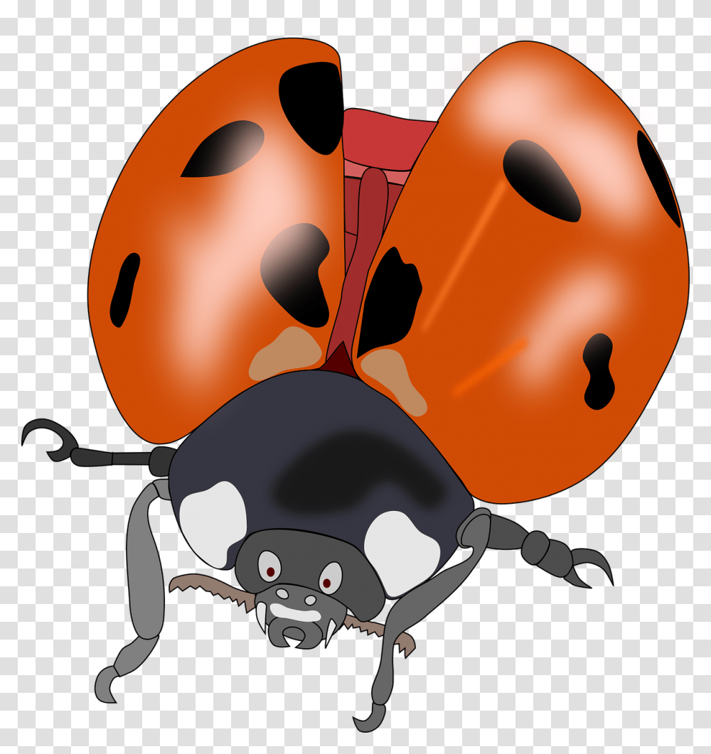 Beetle Bug Insect Lady Bug Ladybug Nature Kumbang Merah Hitam Terbang, Invertebrate, Animal, Wasp, Hornet Transparent Png