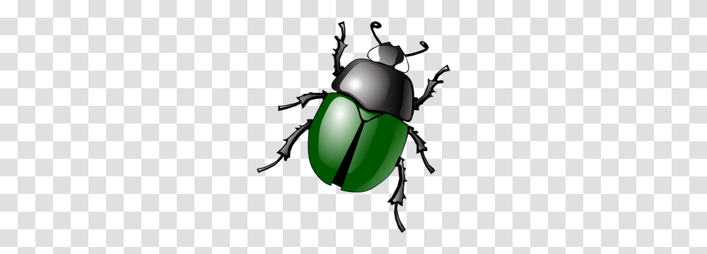 Beetle Clip Art, Helmet, Apparel, Insect Transparent Png