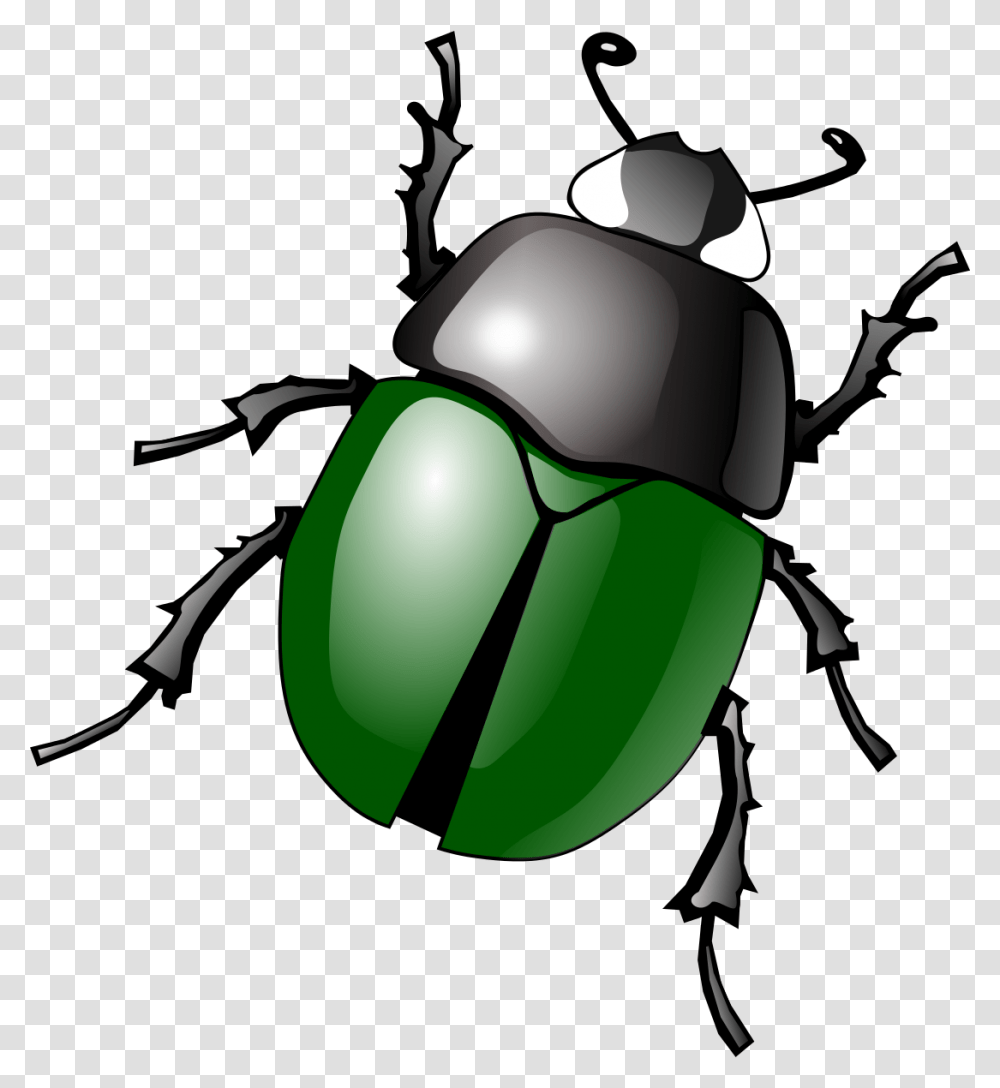 Beetle Clipart Bettle, Insect, Invertebrate, Animal, Dung Beetle Transparent Png