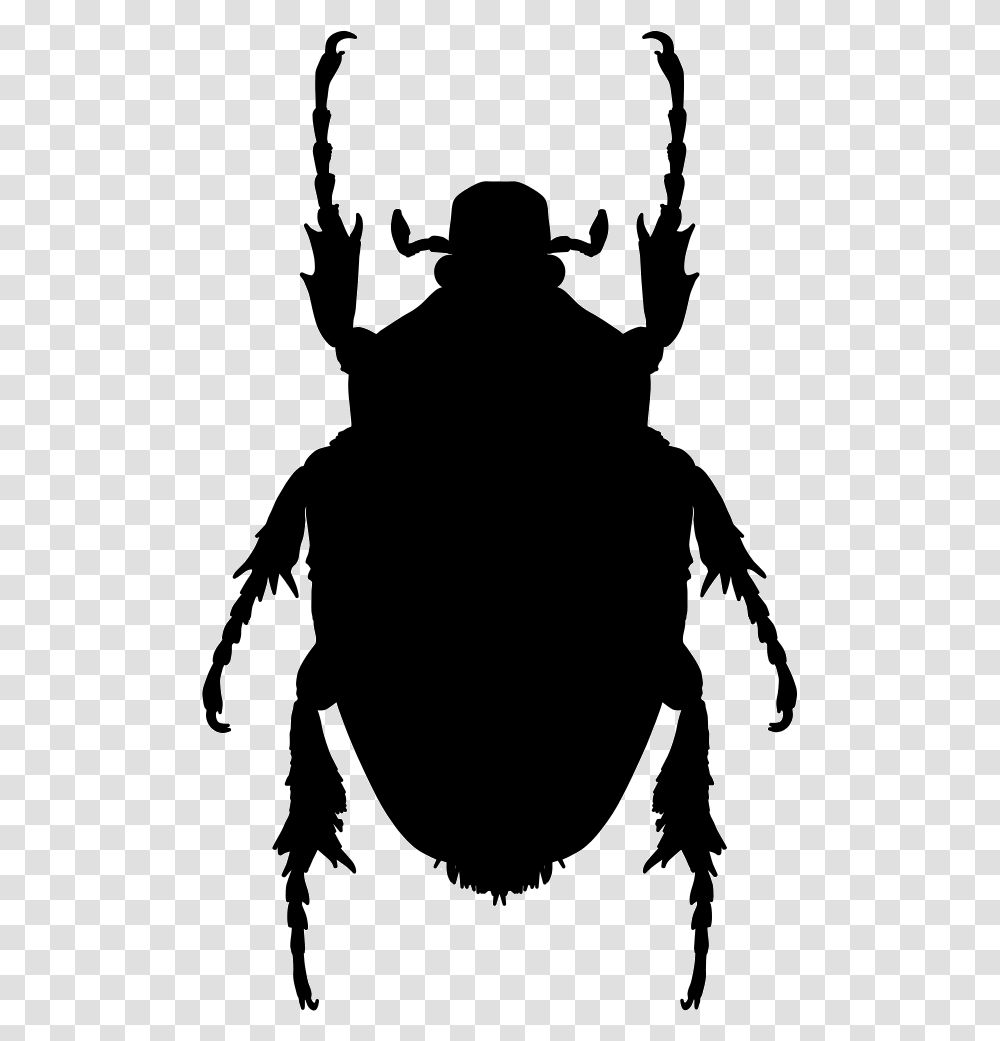 Beetle Clipart Bug Shape, Silhouette, Stencil, Person, Human Transparent Png