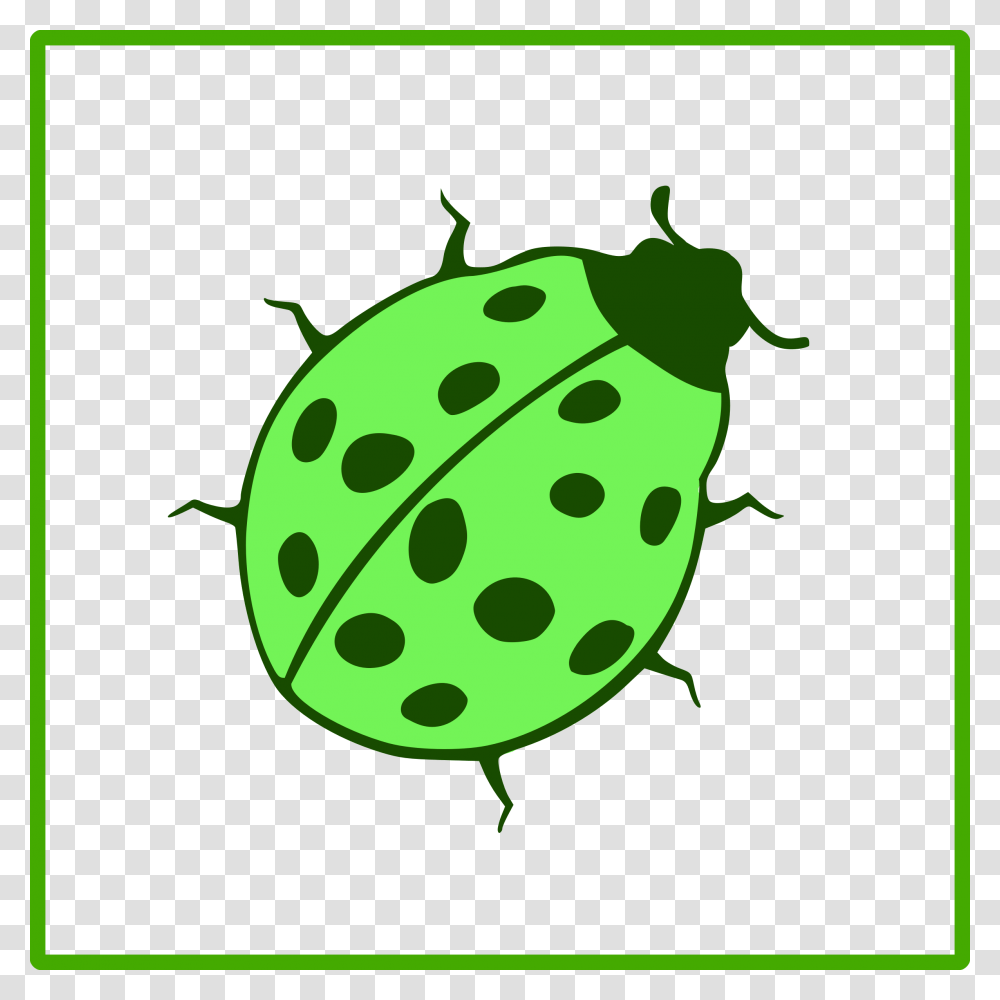 Beetle Clipart Green, Plant, Fruit, Food Transparent Png
