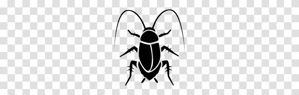 Beetle Clipart, Insect, Invertebrate, Animal, Dung Beetle Transparent Png