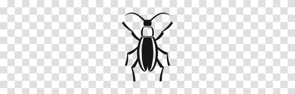 Beetle Clipart, Invertebrate, Animal, Bow, Insect Transparent Png