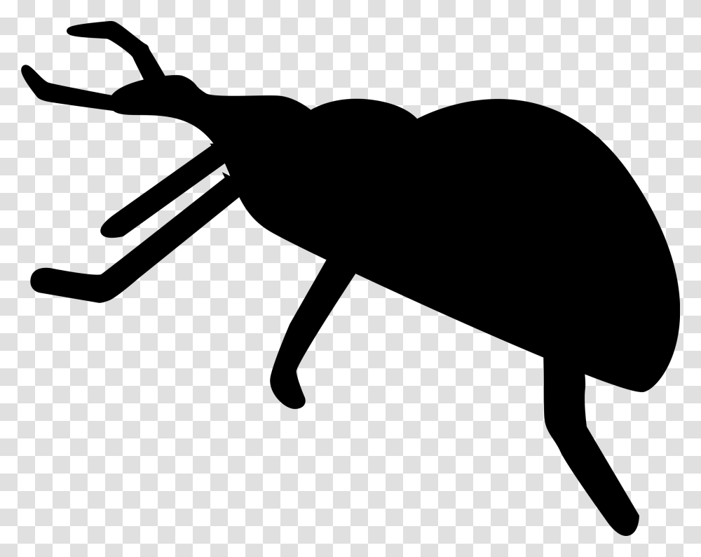 Beetle Clipart Silhouette, Gray, World Of Warcraft Transparent Png