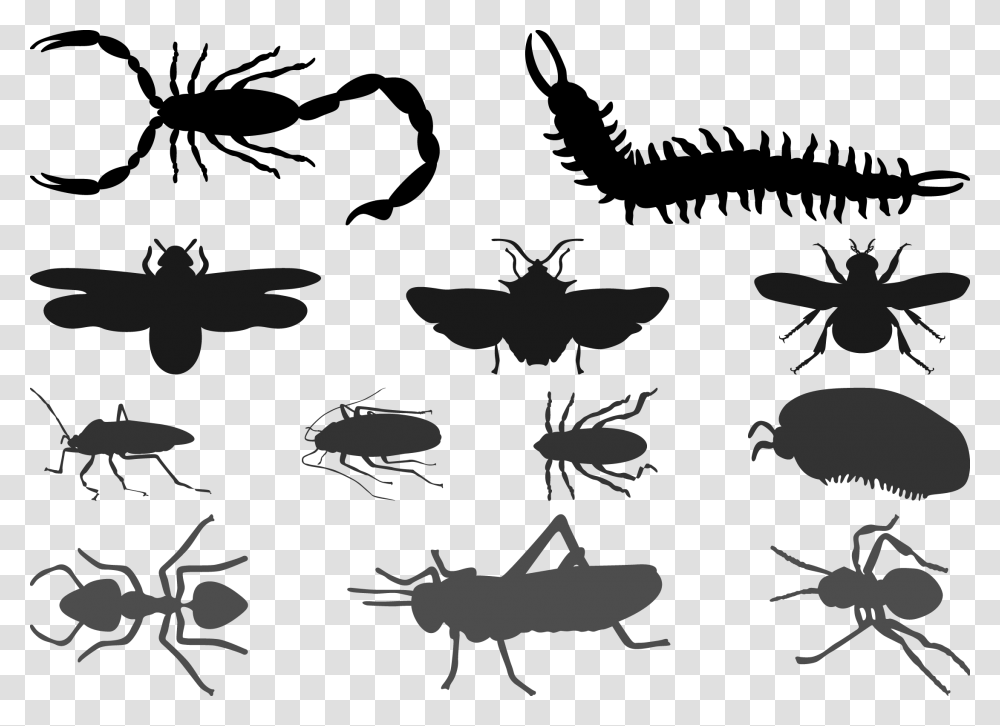 Beetle Cockroach Silhouette Butterfly Silhueta De Insectos, Animal, Invertebrate, Helicopter, Aircraft Transparent Png
