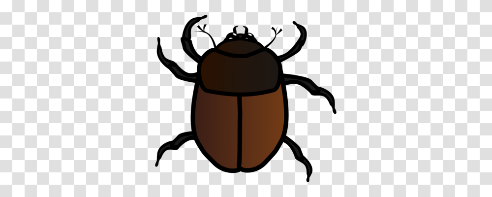 Beetle European Firebug True Bugs Drawing Nymph, Lamp, Insect, Invertebrate, Animal Transparent Png