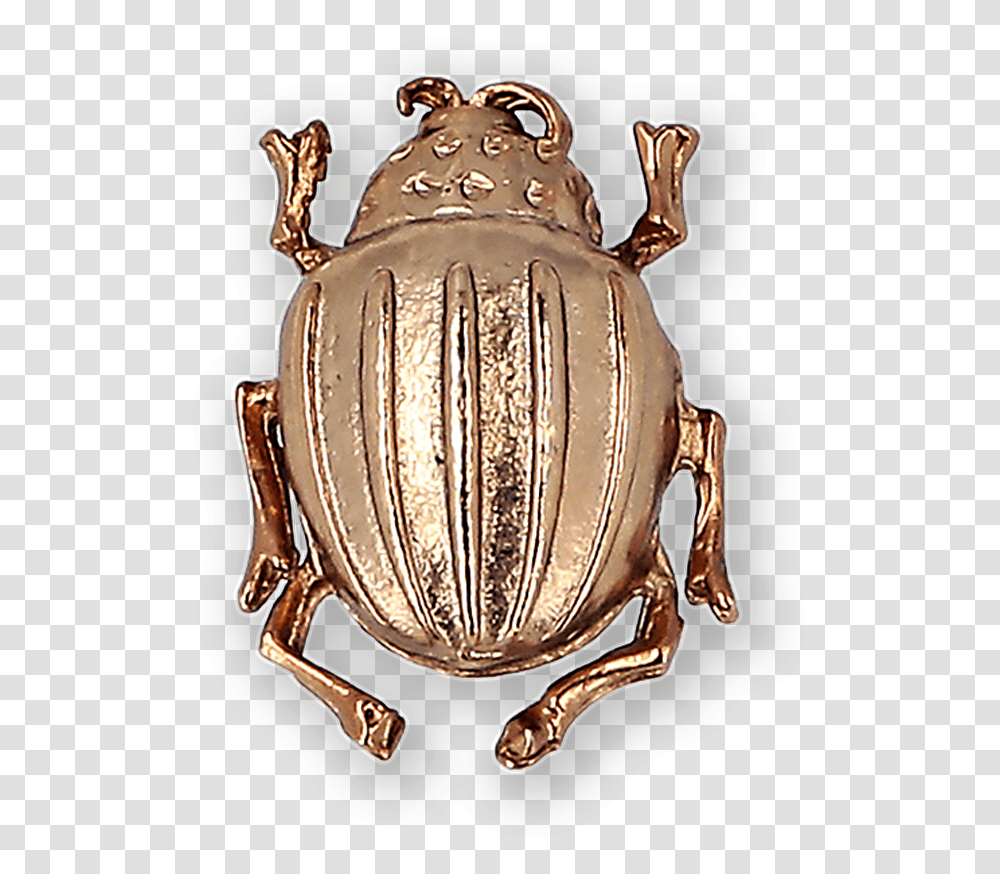 Beetle Gold Plated Brooch Ss19 Collection Pal Zileri Dung Beetle, Jar, Pottery, Armor, Birthday Cake Transparent Png