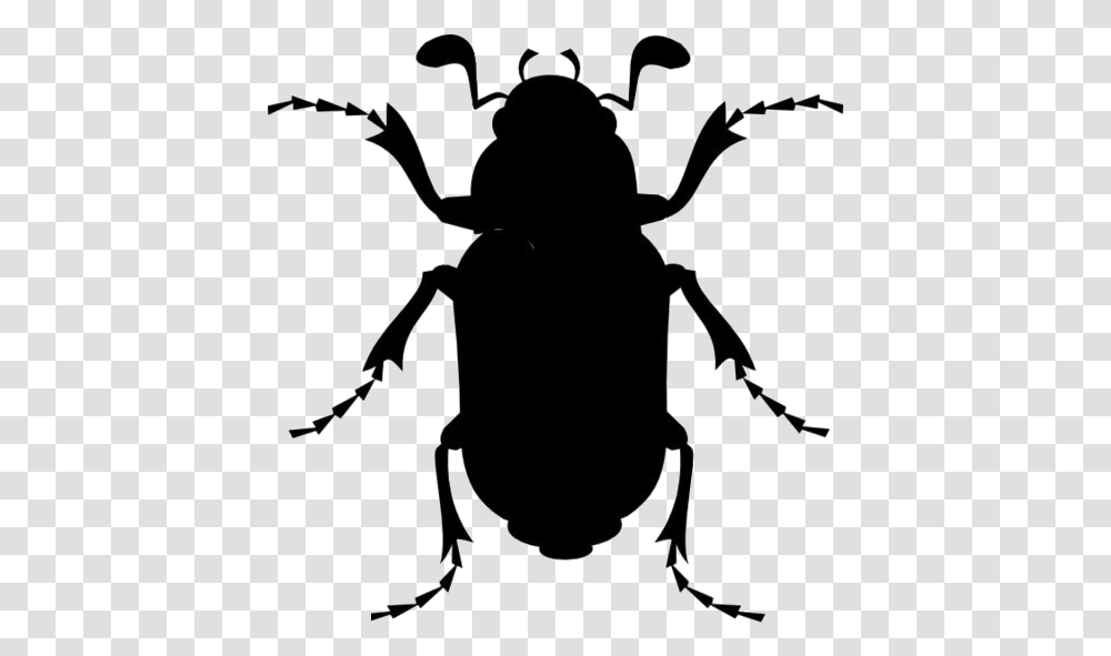 Beetle Images Cartoon Cockroach, Insect, Invertebrate, Animal, Person Transparent Png