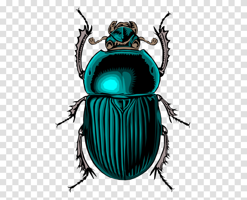Beetle Insect Bug Scarab Stink Dung, Dung Beetle, Invertebrate, Animal Transparent Png