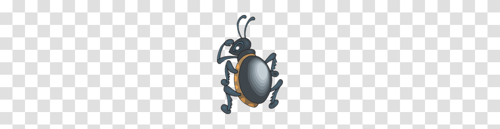 Beetle Looking Over Shoulder Clip Art For Web, Animal, Invertebrate, Insect, Wasp Transparent Png