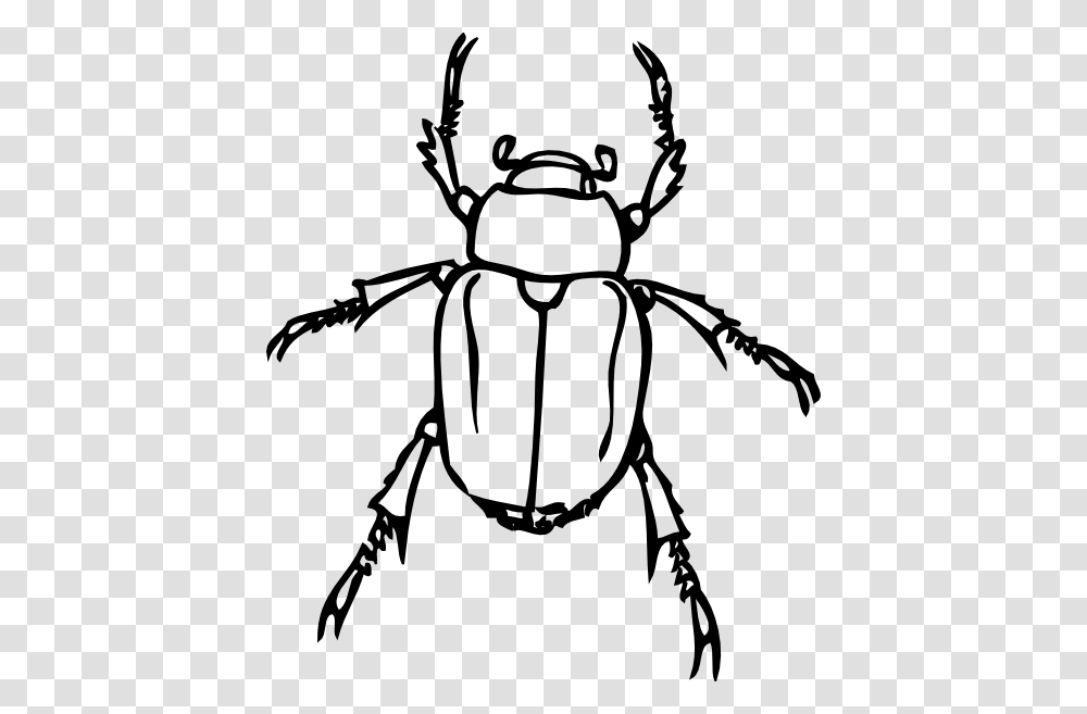 Beetle Outline Cliparts, Gray, World Of Warcraft Transparent Png