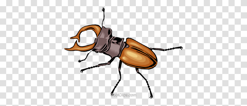 Beetle Royalty Free Vector Clip Art Illustration, Insect, Invertebrate, Animal, Lobster Transparent Png