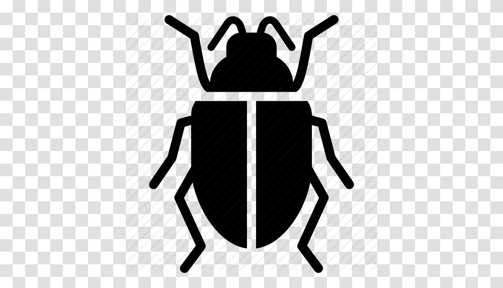 Beetle Scarab Scarabaeus Icon, Piano, Leisure Activities, Musical Instrument, Insect Transparent Png